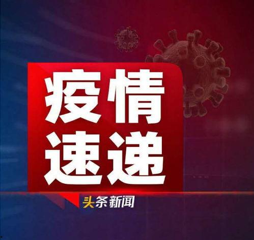 头条新闻爆料台州网红,揭秘台州网红生成背后的故事